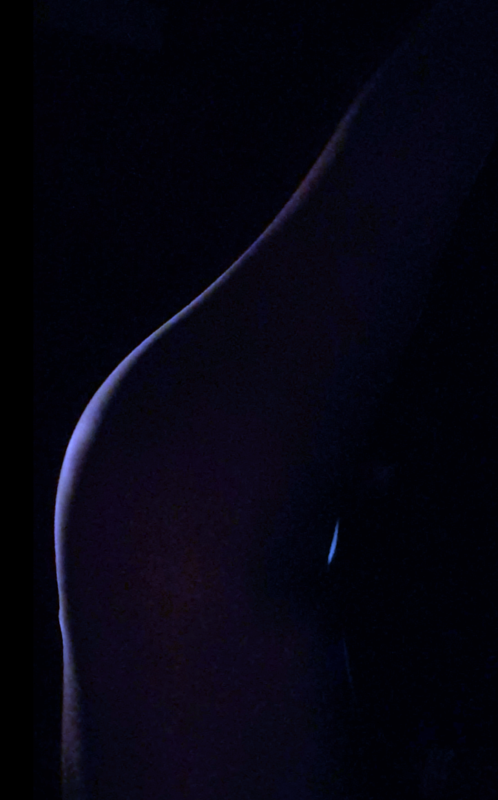 Evolvere No.3