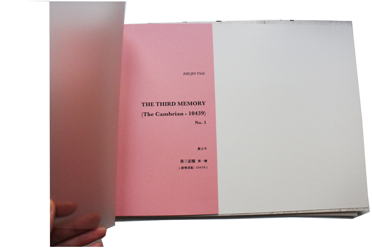 the_third_memory_002.jpg